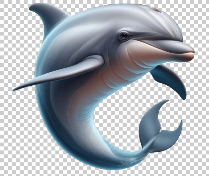 Free PNG dolphin transparent background